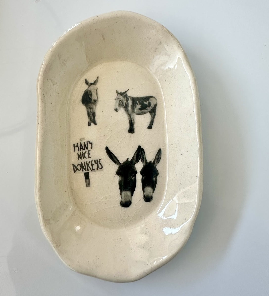 Dish with Many Nice Donkeys