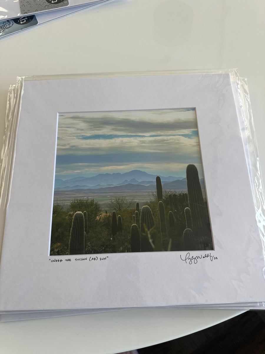 Under the Tucson (AZ) Sun
