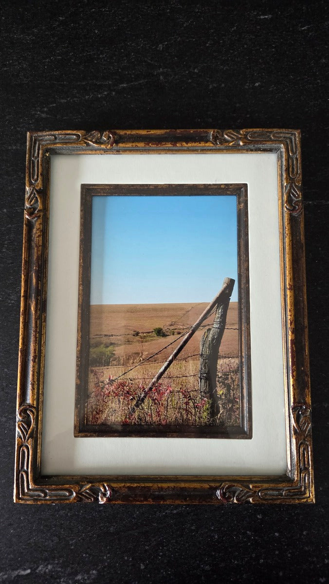 Kansas Prairie