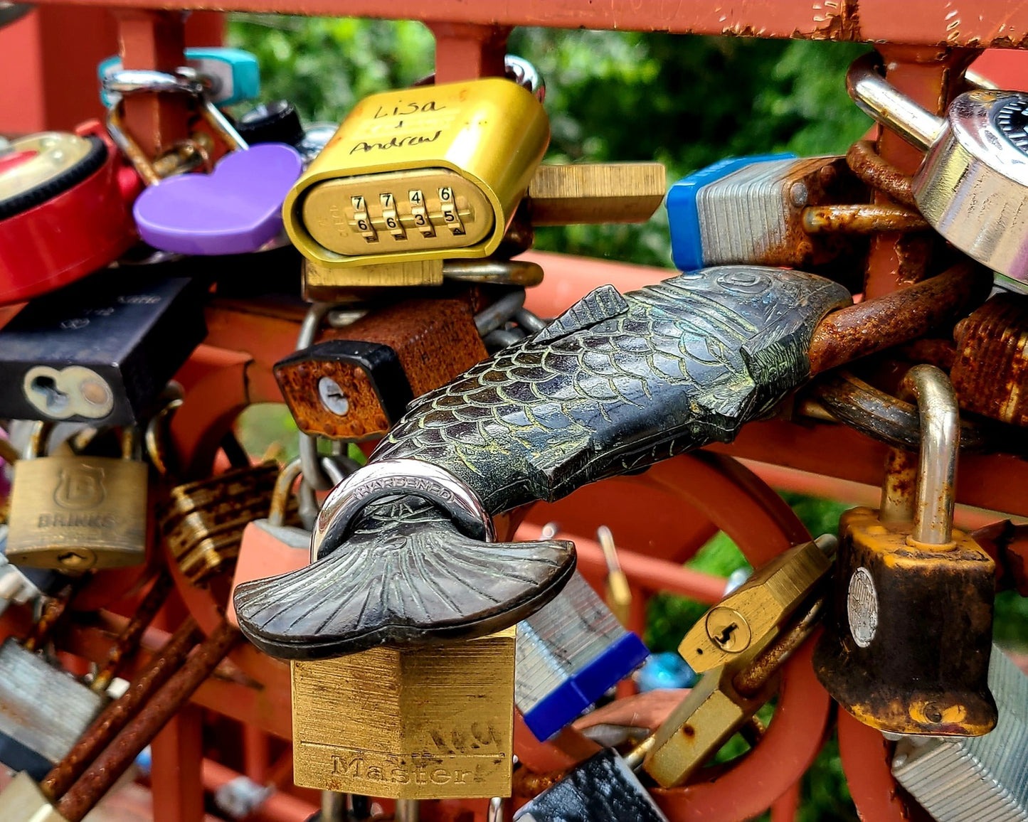 Red Lock Fish