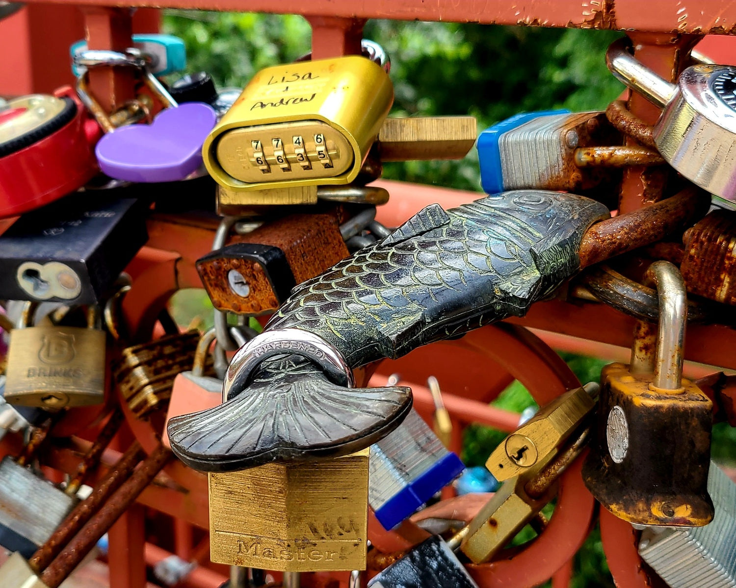 Red Lock Fish